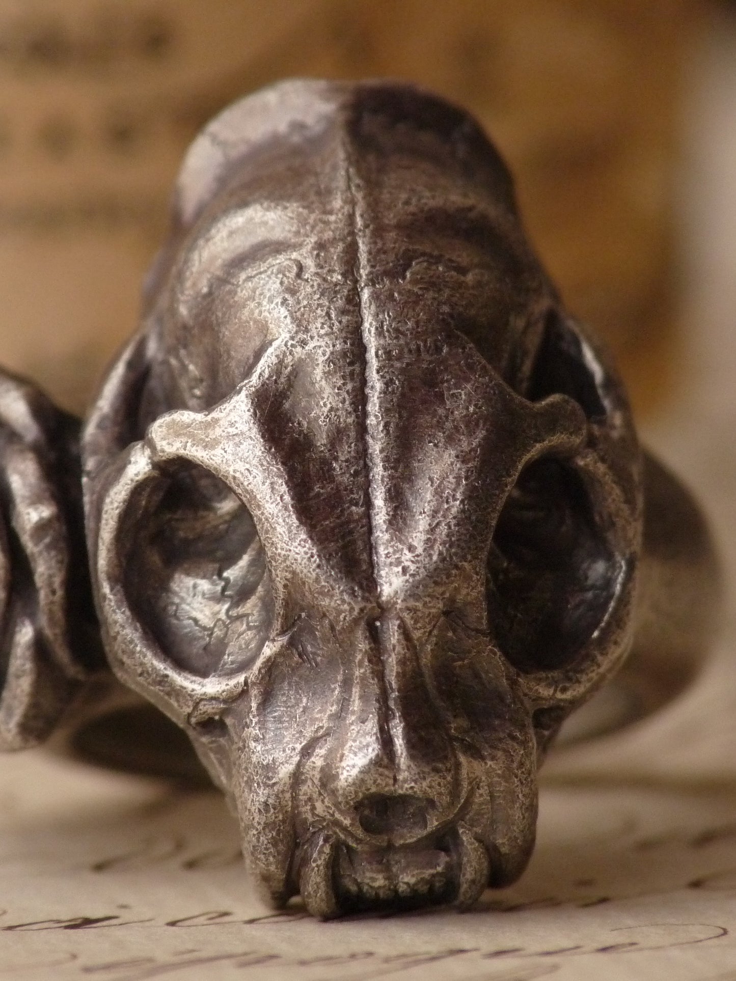 QFO009 Cat Skull Ring