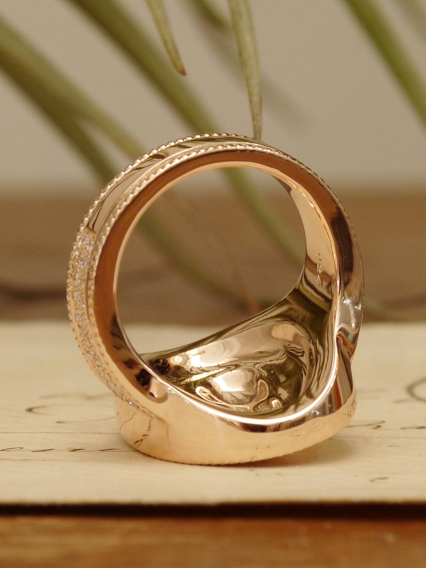 QFO008 Cat Ring