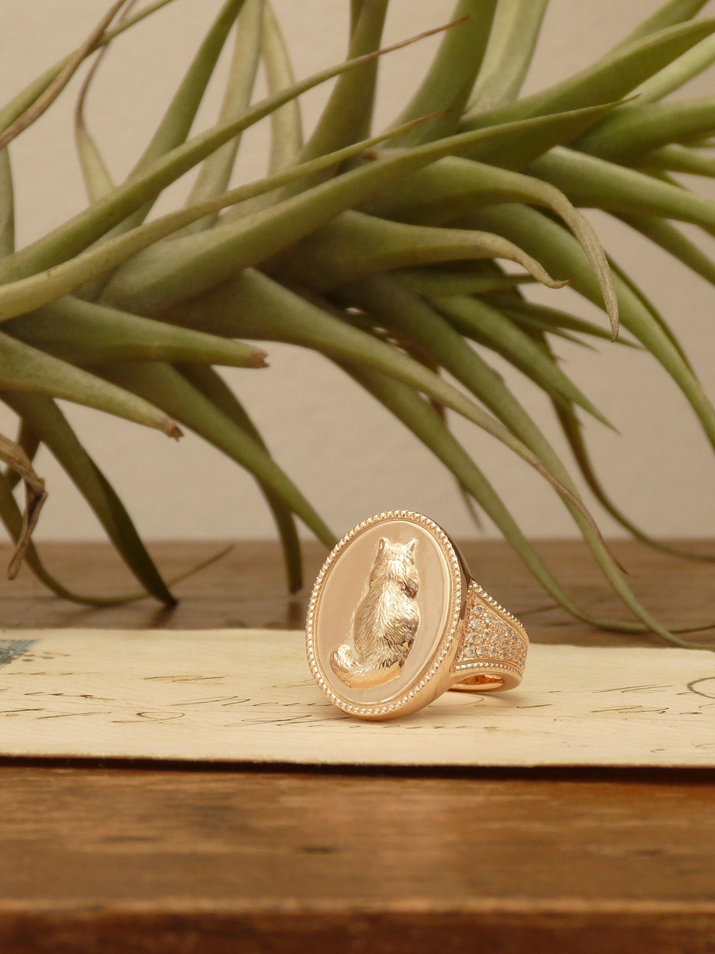 QFO008 Cat Ring