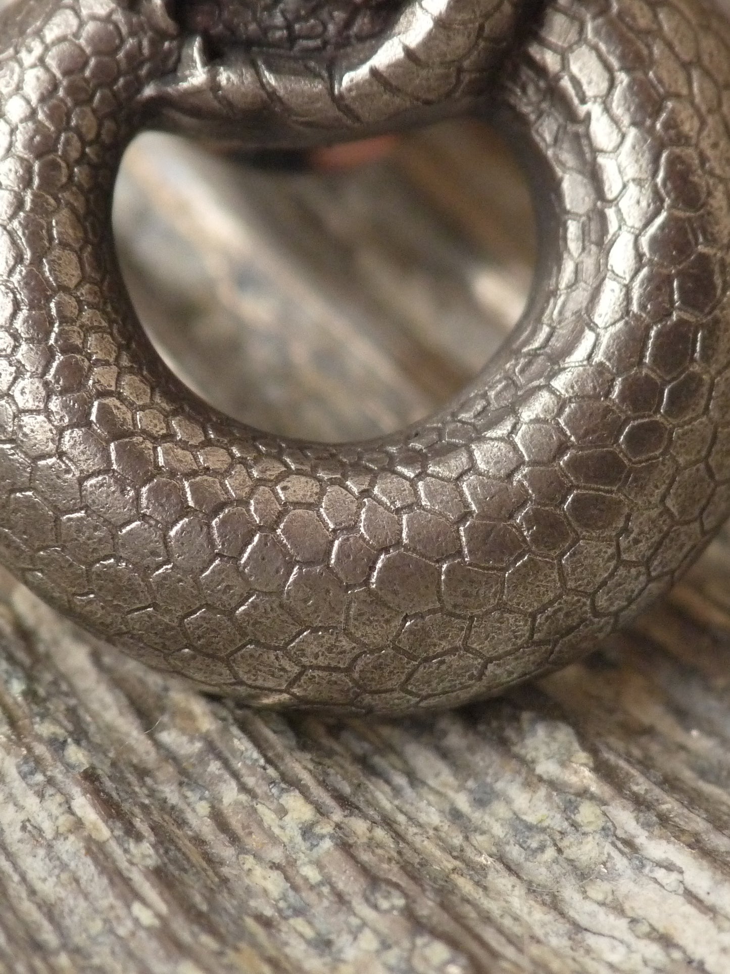 QFO069 Snake Pin