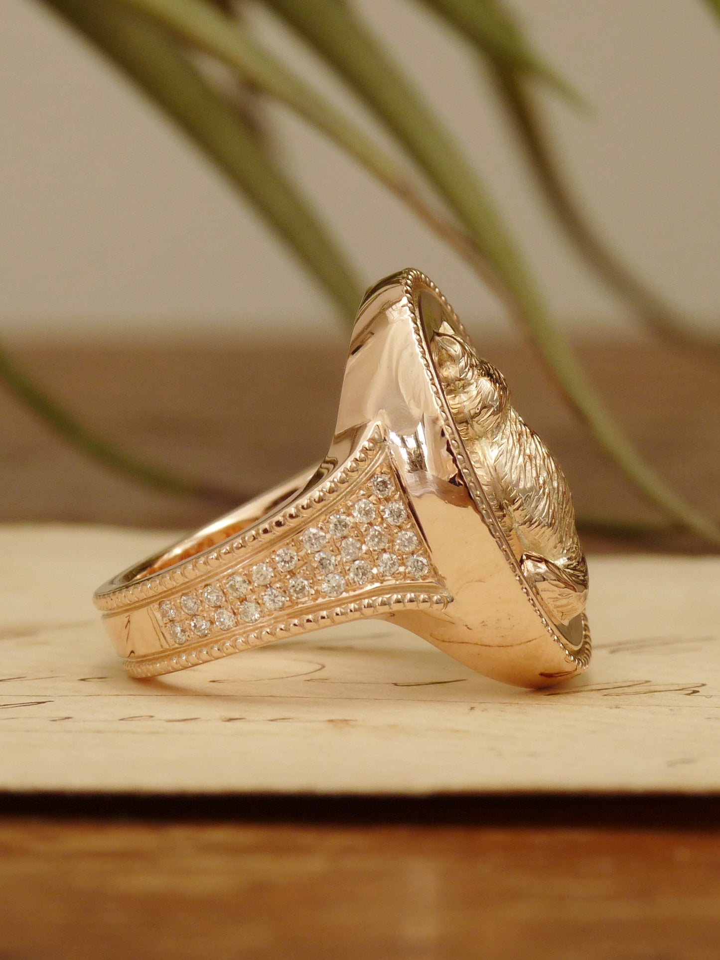 QFO008 Cat Ring