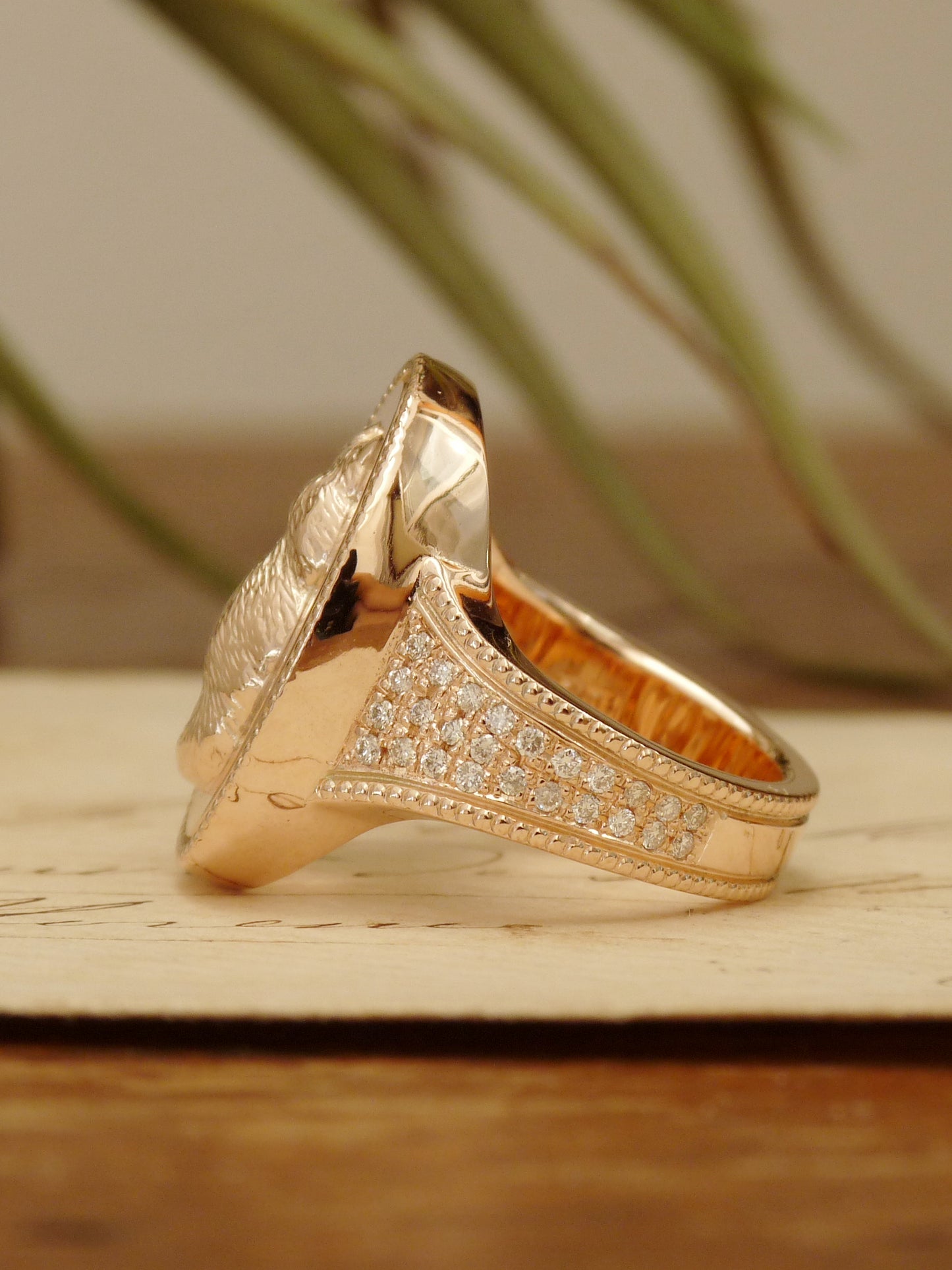 QFO008 Cat Ring