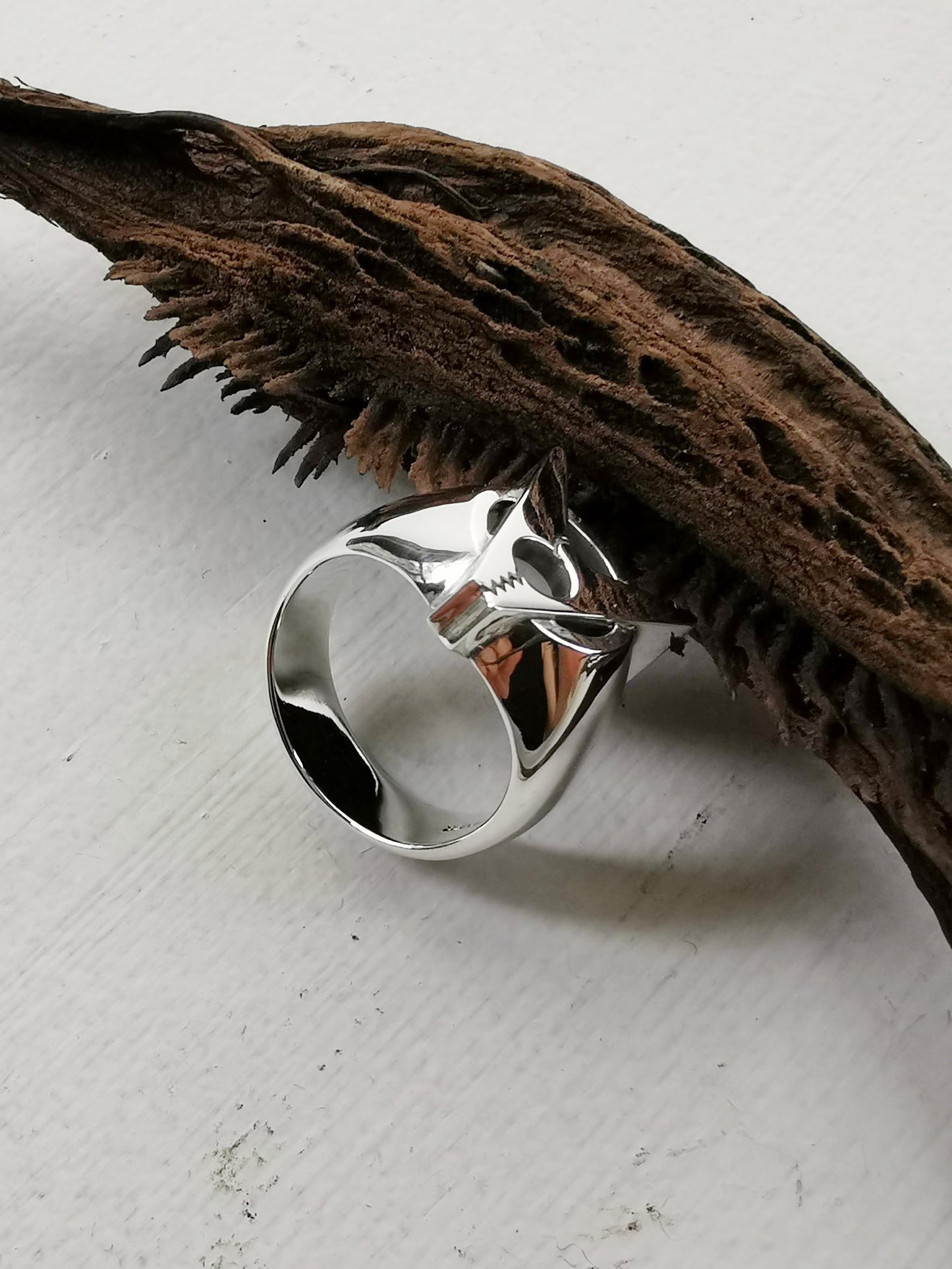 QFO011 Clothespins Ring