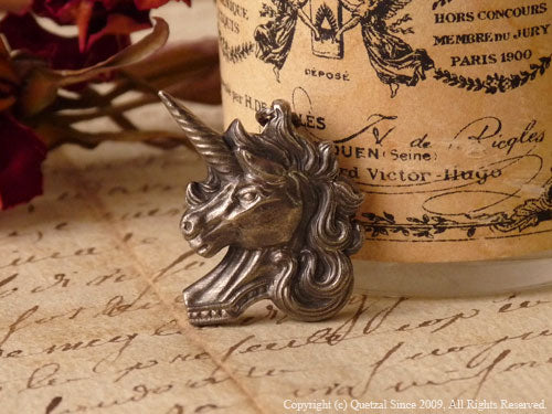 QN29S Unicorn Pendant Silver ver.